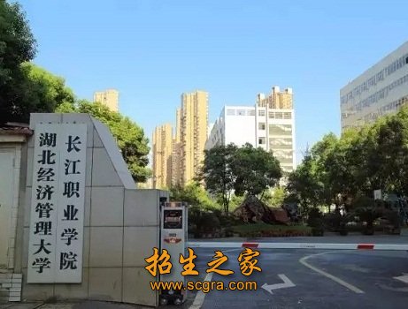 正文适合核对表述