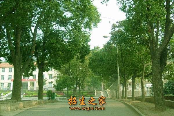 2. 凭身份证和初