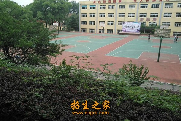 高中毕业证（或分数条）报名