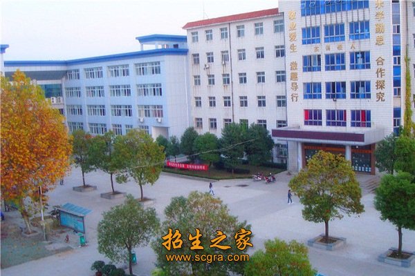 强化专业技能