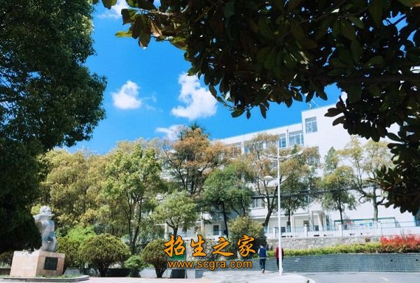 实施了以爱为核心