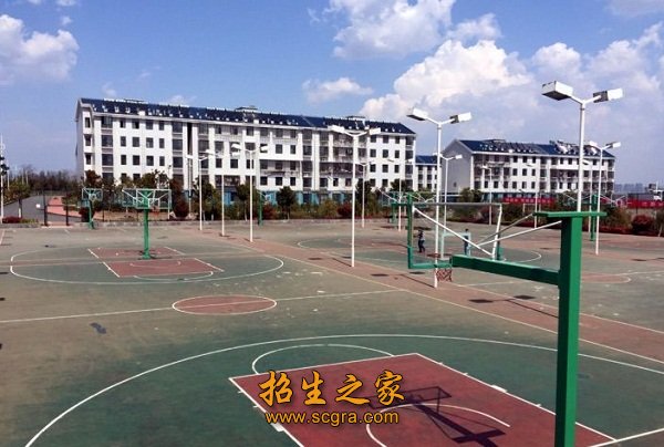 以职业为切入点的“四位一体