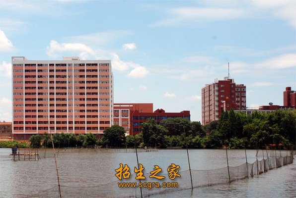 其中享受国务院津贴专家6人