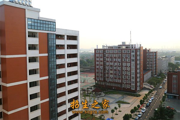 享受湖北省政府津贴专家4人