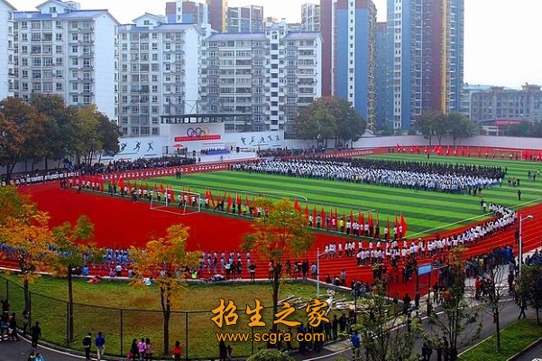 企业家的摇篮