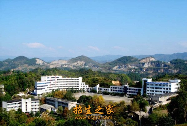 为提高教学水平