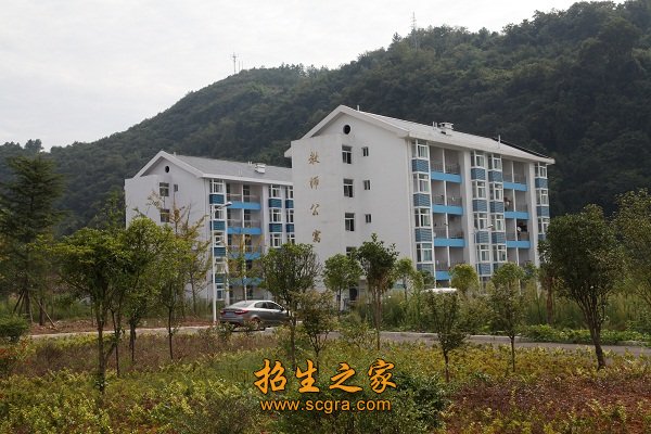 开展丰富多彩的第二课堂活动