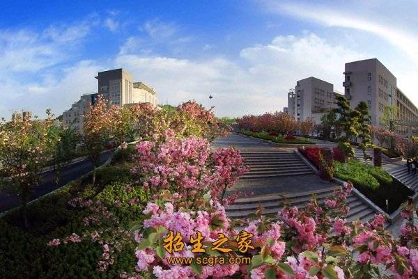 报到时交所在系辅导员老师