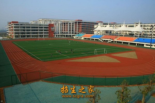 会计电算化