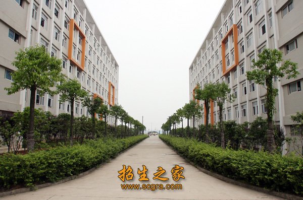 4.澳门永利注册首次注册对考生身体状