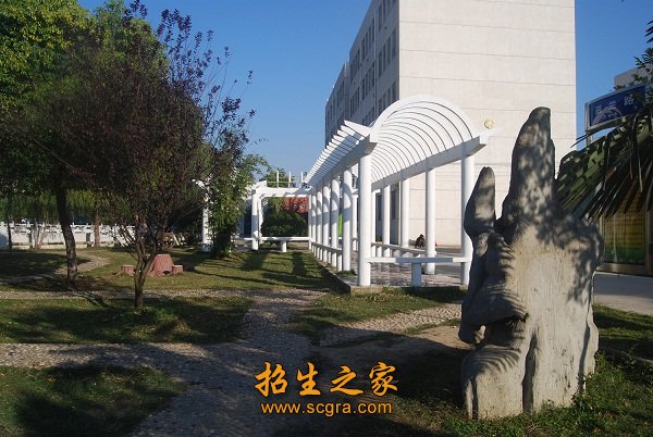 转移有序
