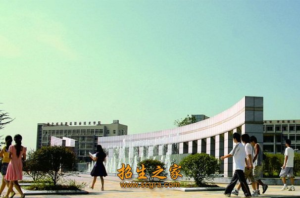专任教师355人