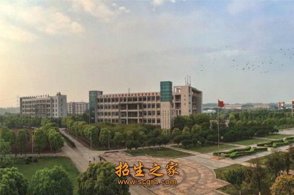 副高职称148人