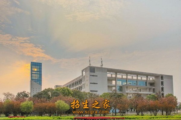 专任教师中