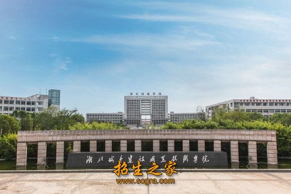 正高职称15人
