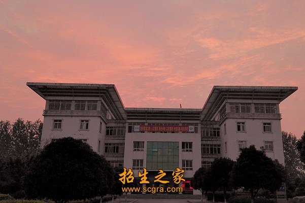 自成立以来
