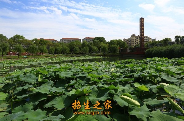 随后更名为湖北职业技术澳门永利平台官