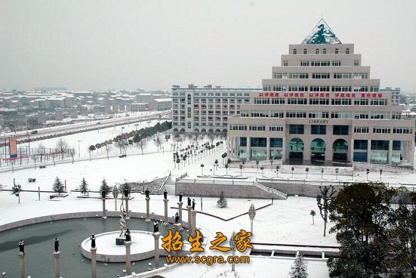 基础素质与专业素质并重