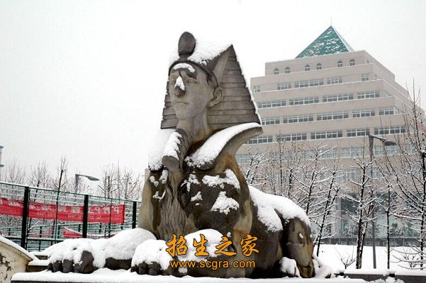 努力培养具有扎实的职业技能和良好创新