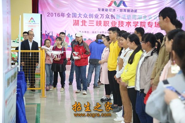 硕士学位教师237人