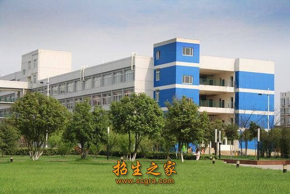 迷彩圆领衫