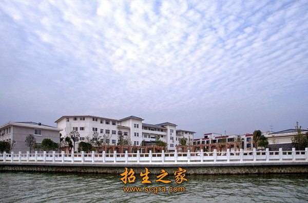 同类内容也就是说 专业核心课程