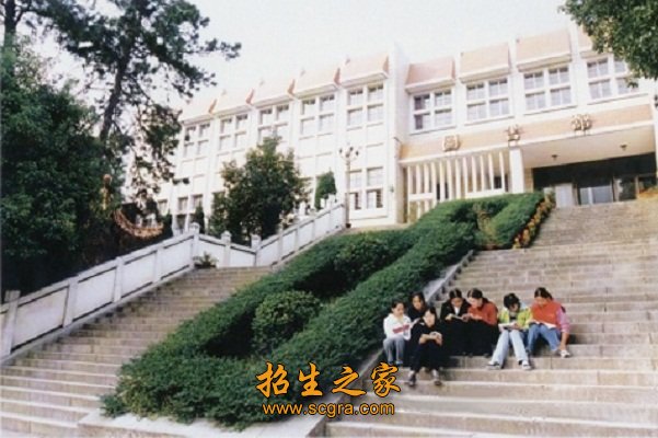 树木葱郁