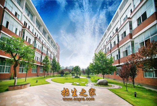 现有教师近400多名