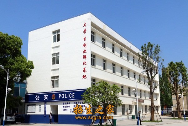 以就业为导向