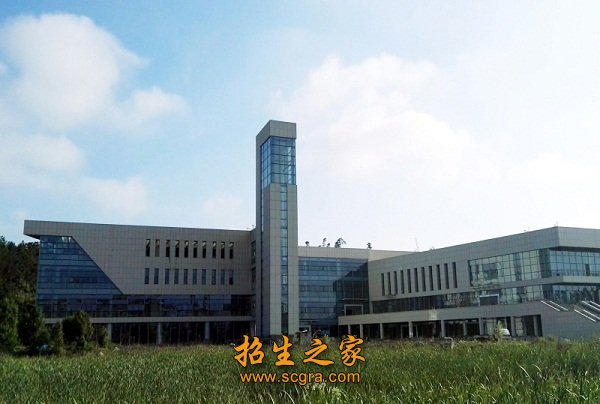 与东风汽车