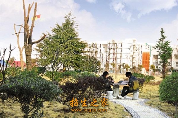 德智体全面考核