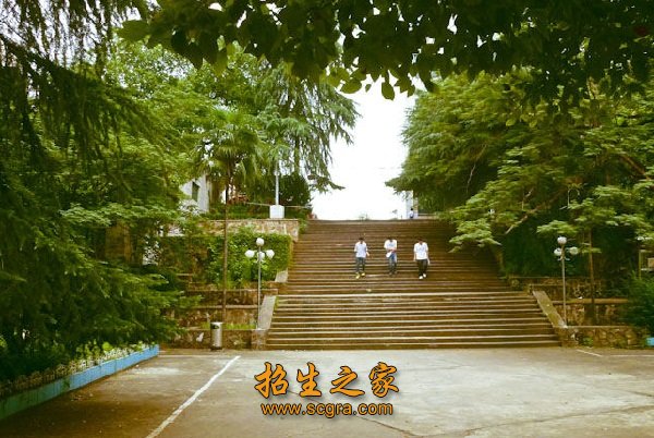 在行业领域具有较高的社会声誉