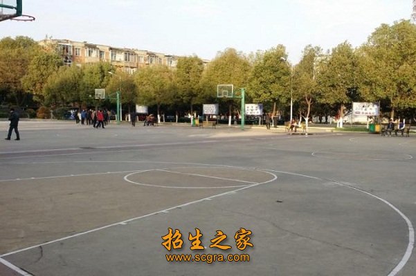 还积极开展各类职业培训