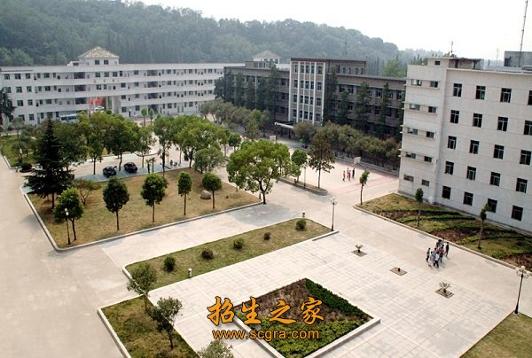 现有在编教职工117人