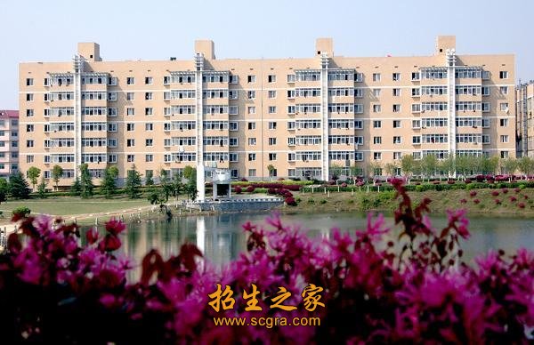 湖南省级教学改革试点专业5个