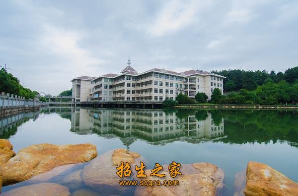 中央财政重点支持专业3个