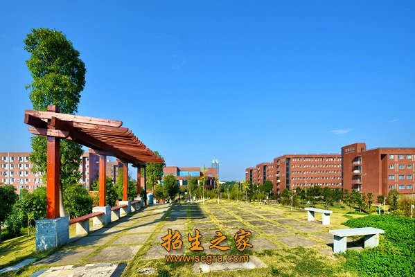 录取方式 (3)进档考生投档分相同的