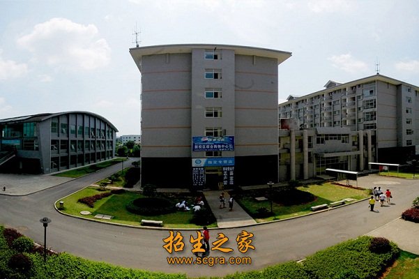 能力为重