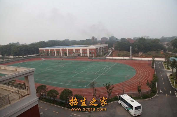 专业自选