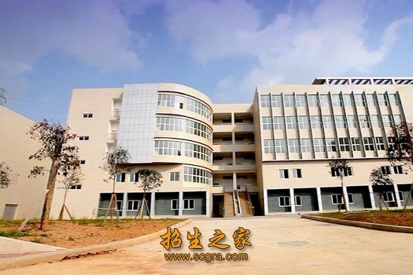 就业情况