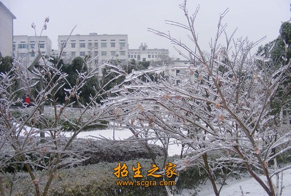 正文适合核对表述