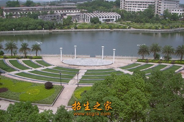 两者都保留在站内即可形成完整阅读路径