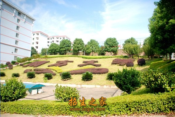 双师型教师数量稳居湖南省同类院校前列