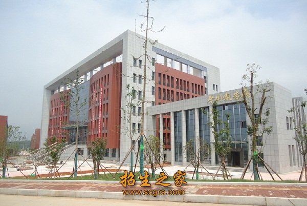 以服务高新区电子信息产业发展为己任