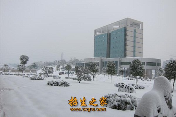 成绩合格者