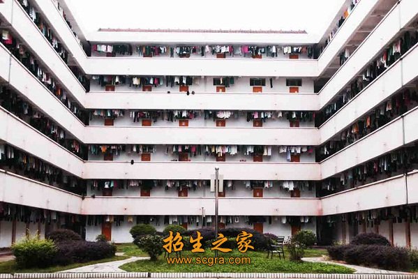 建议先扫读标题与摘要