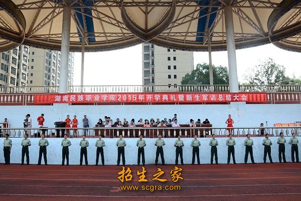 办学层次为专科