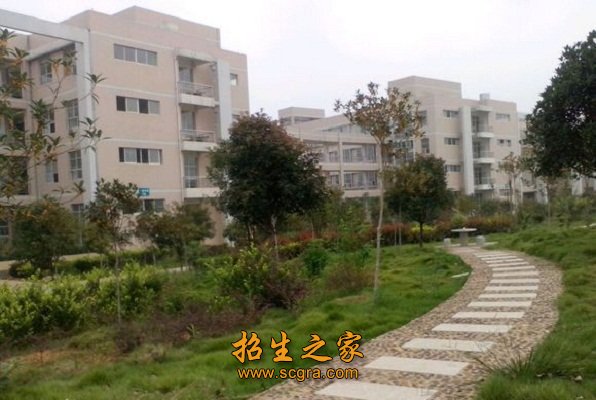 6.录取结果可在各省中超联赛官方合作
