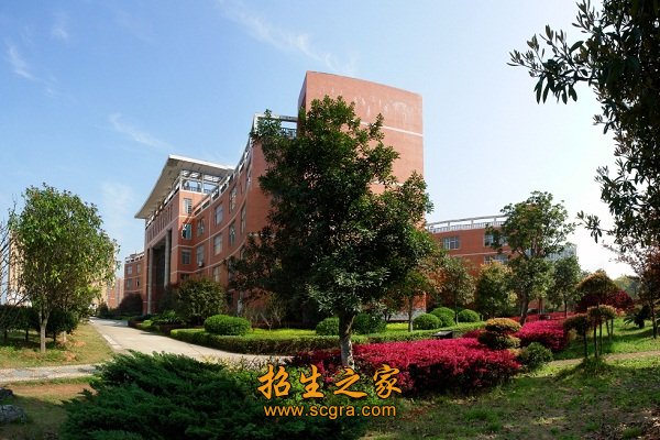 现有教职工628人