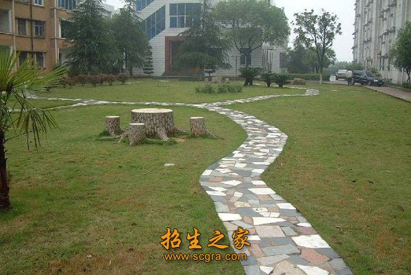 专业设置 电力工程系 发电厂及电力系